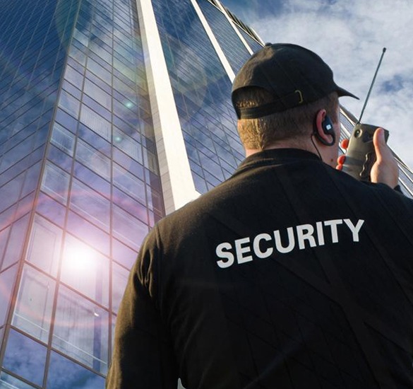 Security Service Firms